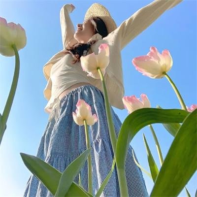 烽火芳菲